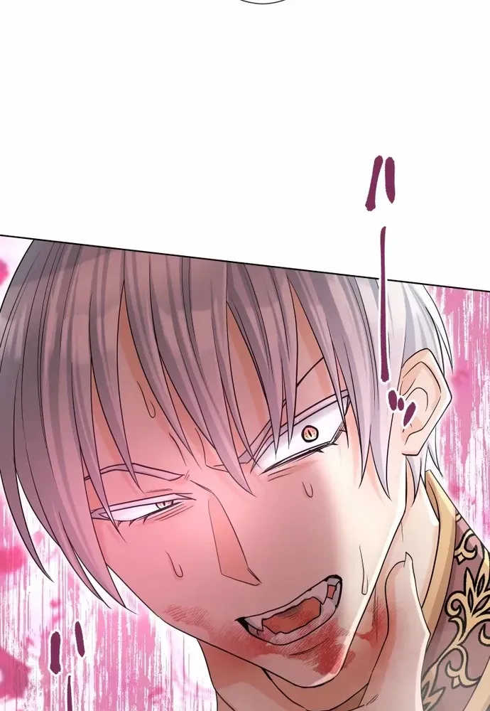 Cô Dâu Của Sói Trắng Chapter 111.1 - 83