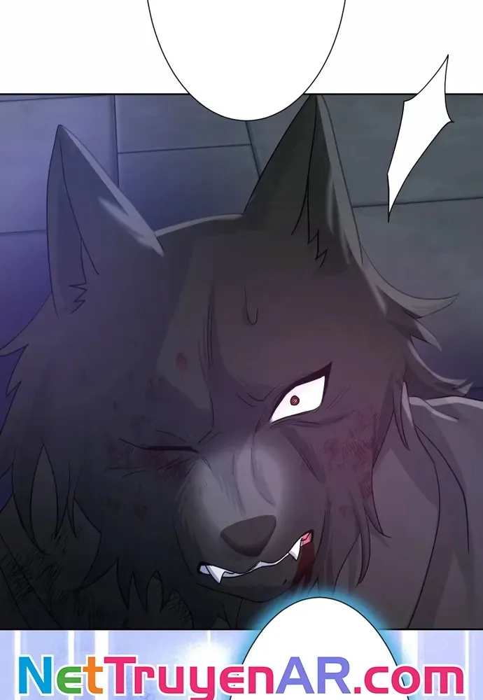 Cô Dâu Của Sói Trắng Chapter 112.1 - 95