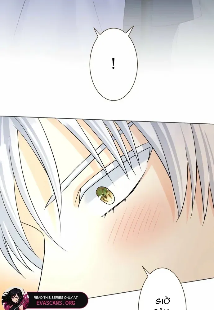 Cô Dâu Của Sói Trắng Chapter 113.1 - 41