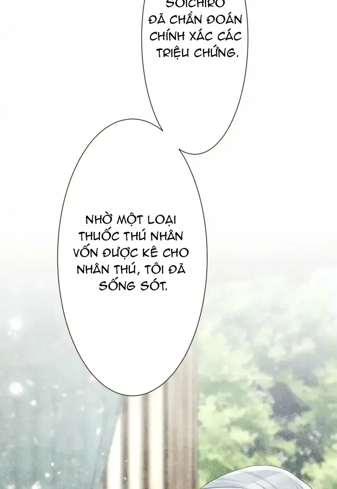 Cô Dâu Của Sói Trắng Chapter 116.1 - 84