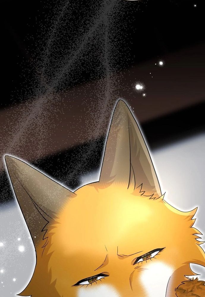 Cô Dâu Của Sói Trắng Chapter 84.1 - 118