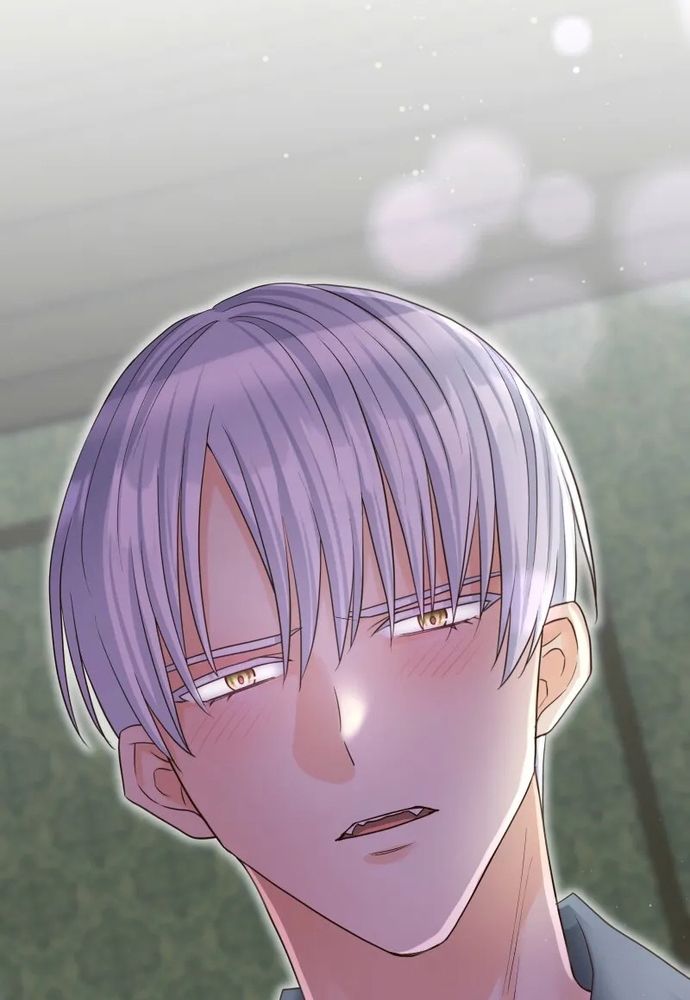 Cô Dâu Của Sói Trắng Chapter 86.1 - 102