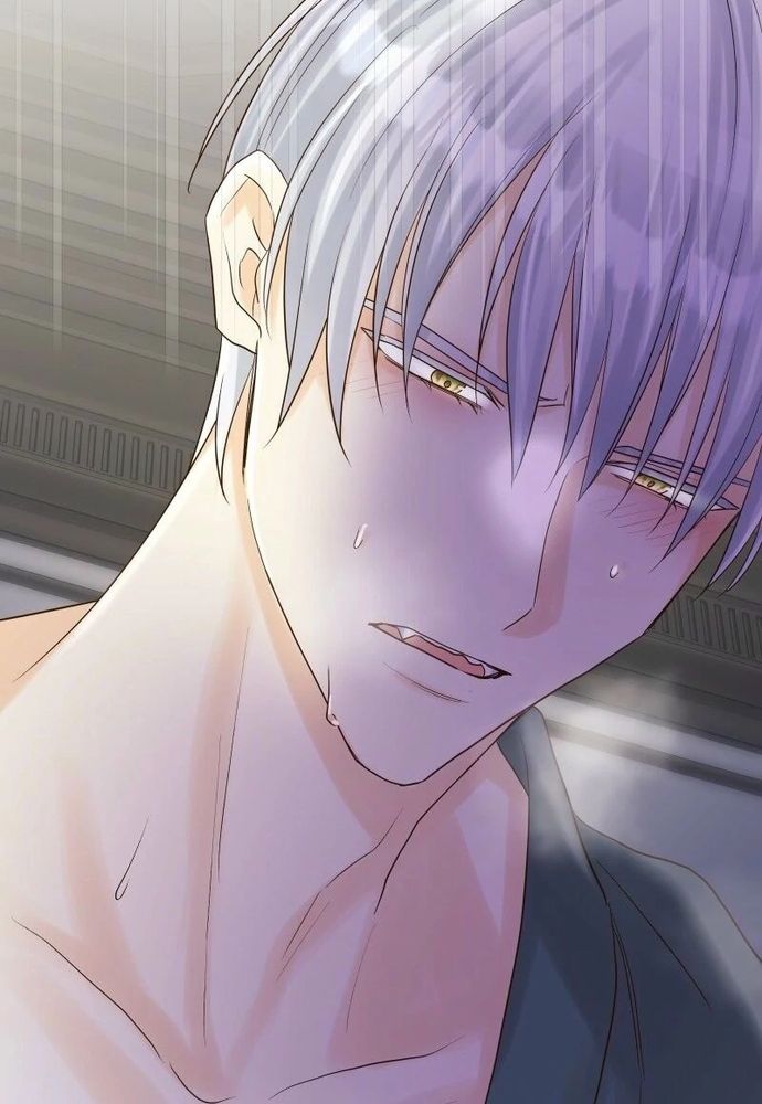 Cô Dâu Của Sói Trắng Chapter 87.1 - 54