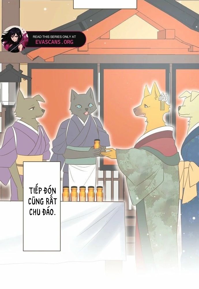 Cô Dâu Của Sói Trắng Chapter 87.1 - 100