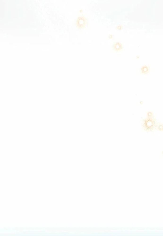 Cô Dâu Của Sói Trắng Chapter 98.1 - 70