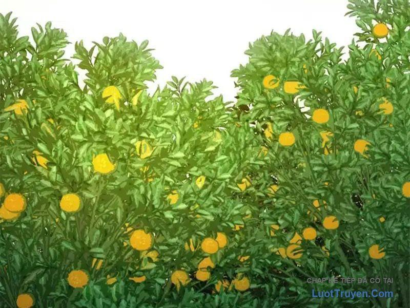 Ta Bán Hàng Vỉa Hè Ở Mạt Thế Chapter 75 - 54