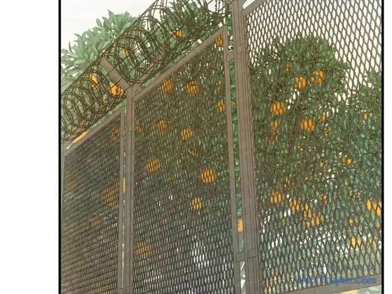 Ta Bán Hàng Vỉa Hè Ở Mạt Thế Chapter 75 - 58