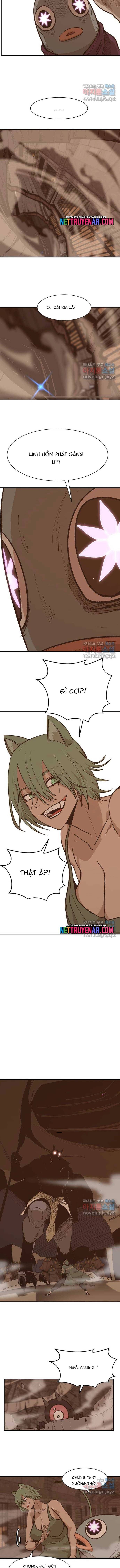 Viên Đá Đỏ Chapter 72 - 8