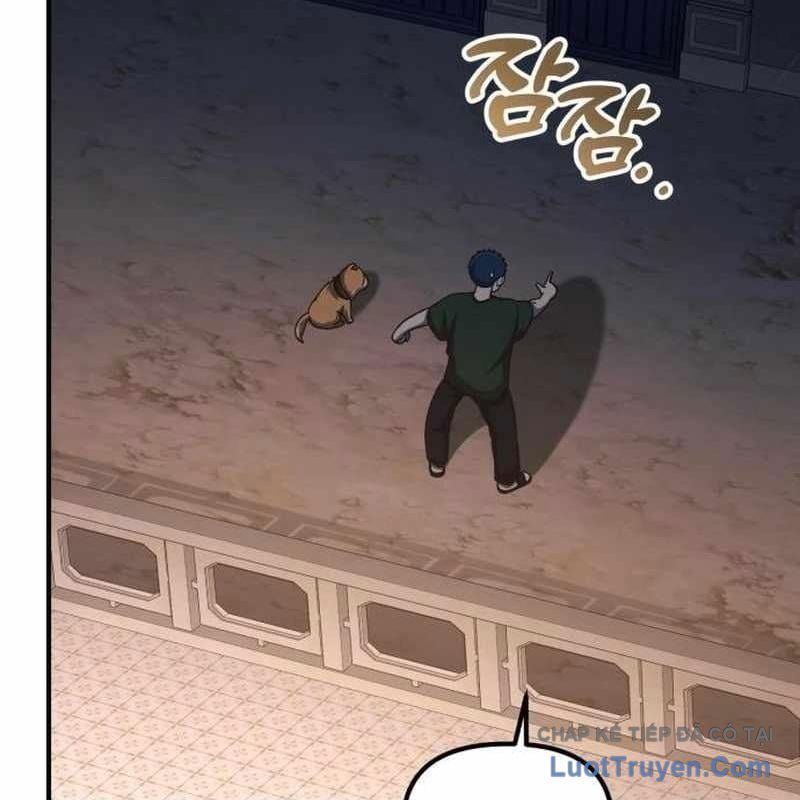 Thiên Tài Bình Dị Chapter 51 - 145