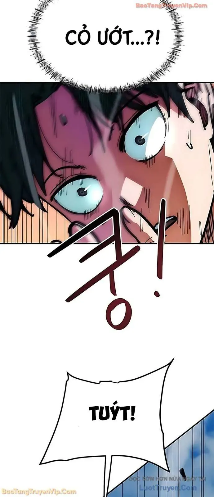 Tôi Bị Hiểu Lầm Là Siêu Sao Trên Sân Cỏ Chapter 52 - 13