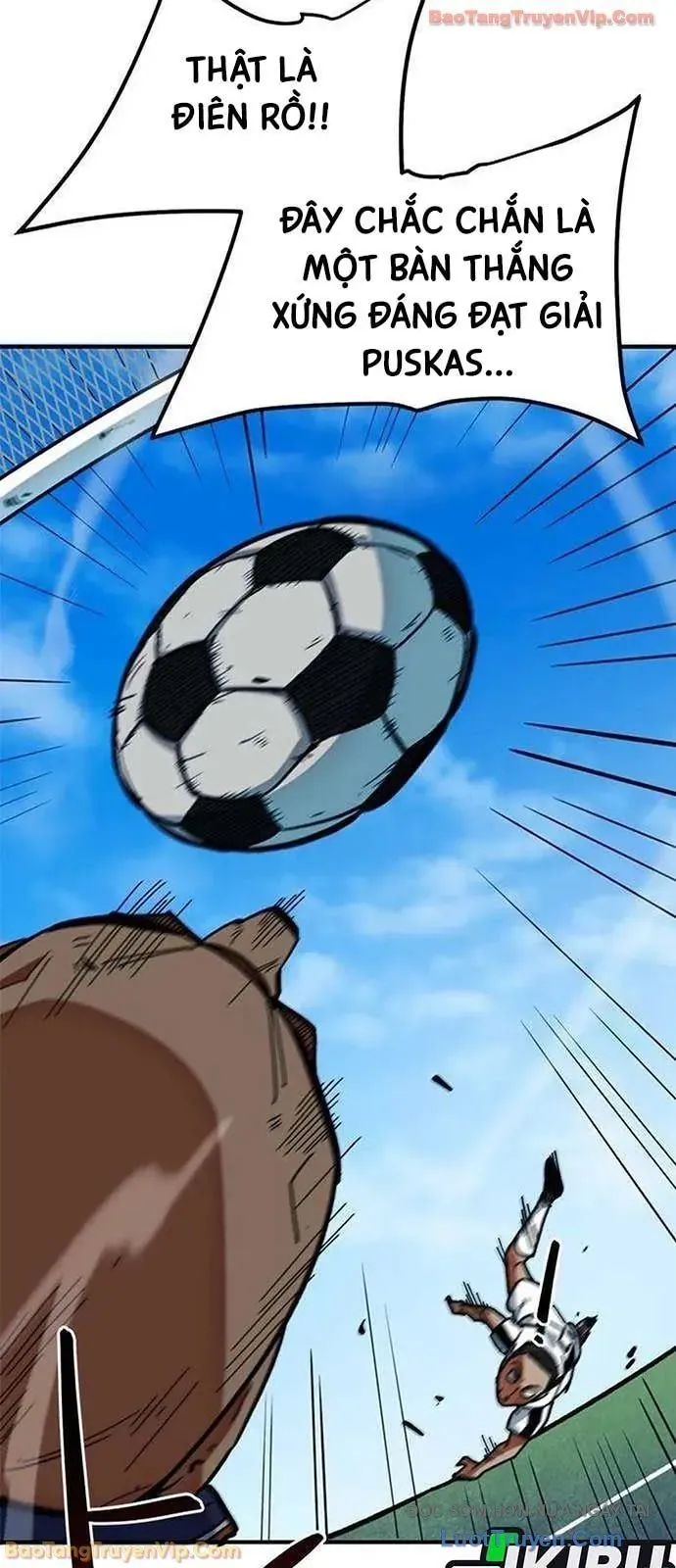 Tôi Bị Hiểu Lầm Là Siêu Sao Trên Sân Cỏ Chapter 54 - 54