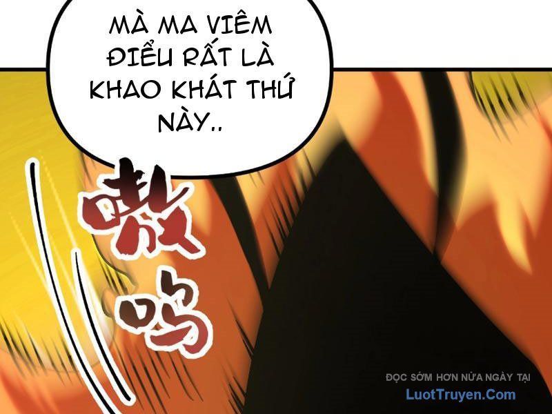 Toàn Cầu Ngự Thú: Ta có thế thấy lộ tuyến tiến hóa Chapter 47 - 113