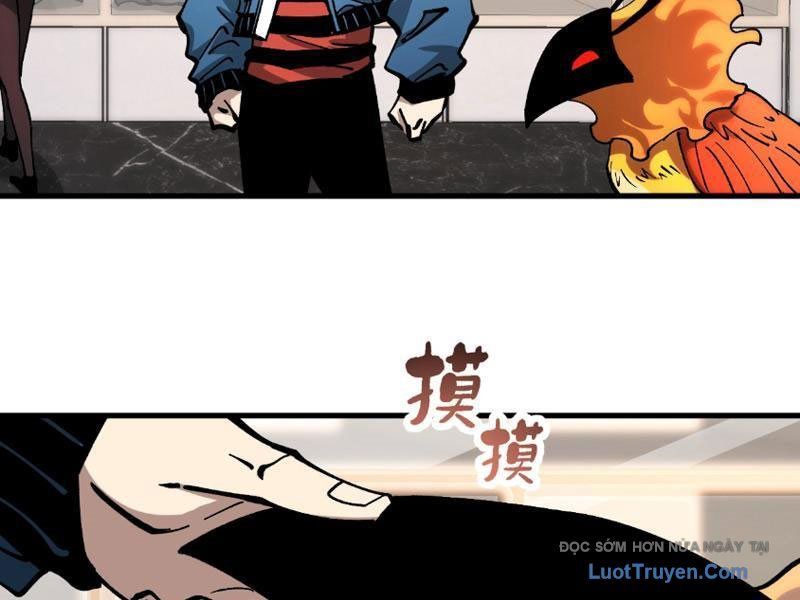 Toàn Cầu Ngự Thú: Ta có thế thấy lộ tuyến tiến hóa Chapter 47 - 62