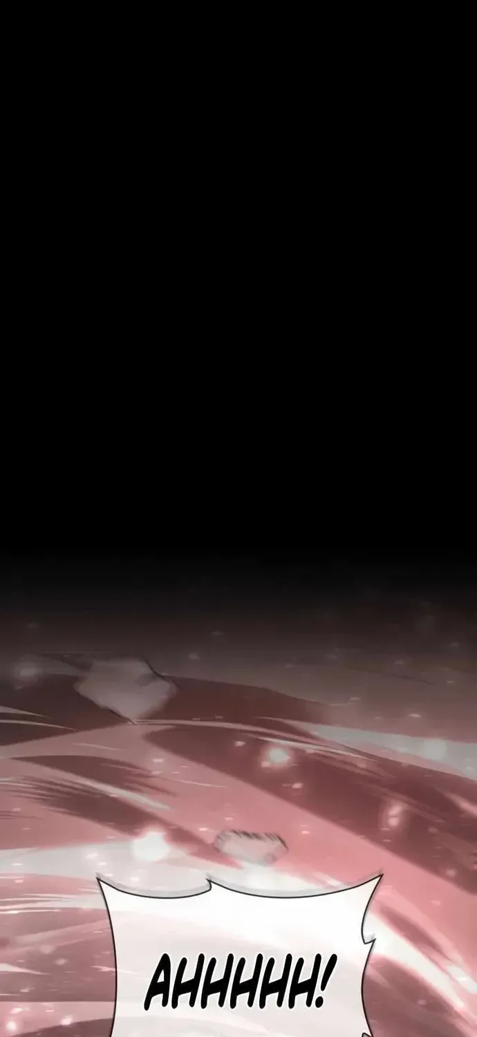 Đa Sắc Ma Pháp Sư Thiên Tài Chapter 67 - 2