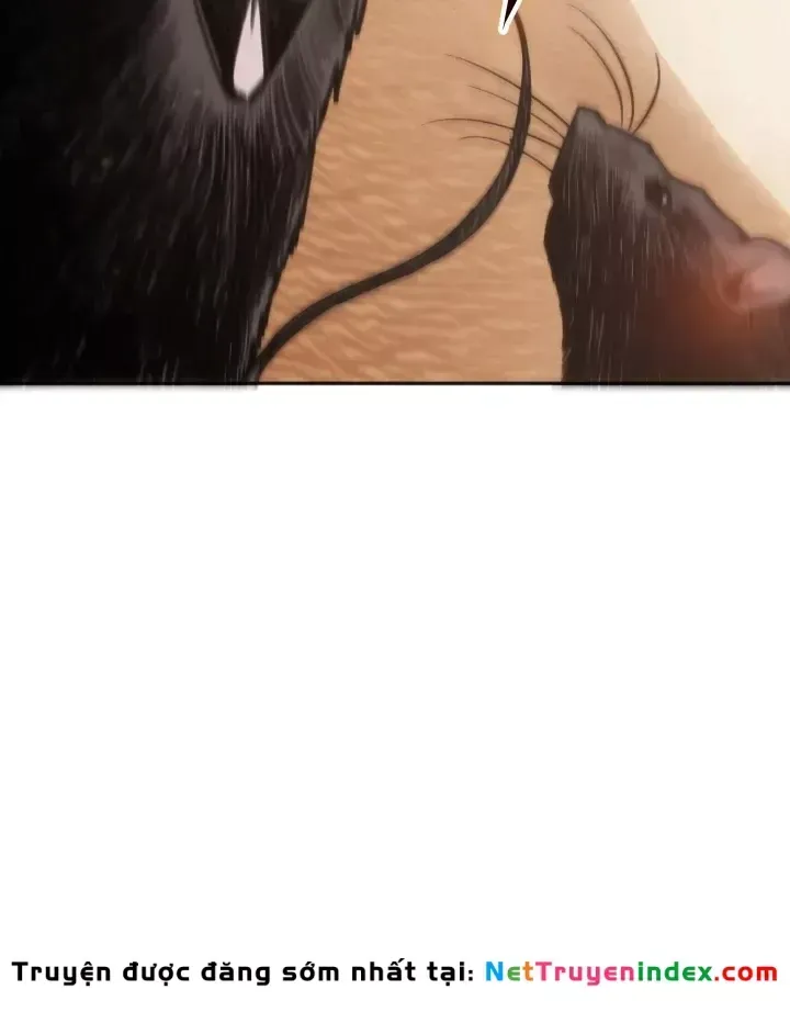 Trị Liệu Sư Quá Mạnh Chapter 76 - 146