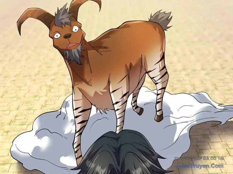 Ngủ Say Vạn Cổ: Xuất Thế Quét Ngang Chư Thiên Chapter 131 - 89