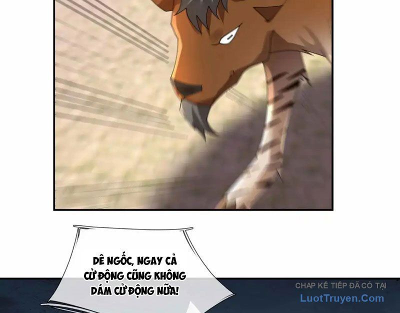 Ngủ Say Vạn Cổ: Xuất Thế Quét Ngang Chư Thiên Chapter 132 - 5