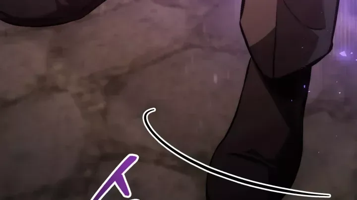 Thiếu Gia Chủ Của Gia Tộc Tử Linh Sư Chapter 62.5 - 113