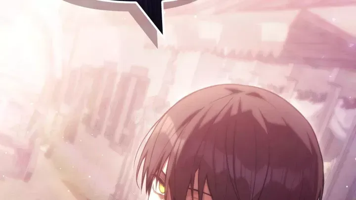 Thiếu Gia Chủ Của Gia Tộc Tử Linh Sư Chapter 62.5 - 116