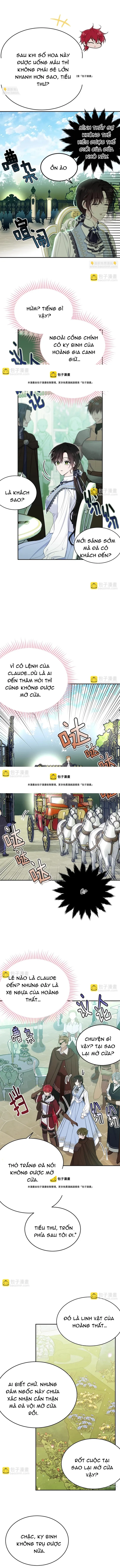 Tiểu Thư Mà Tôi Phục Vụ Biến Thành Thiếu Gia Rồi Chapter 78 - 7