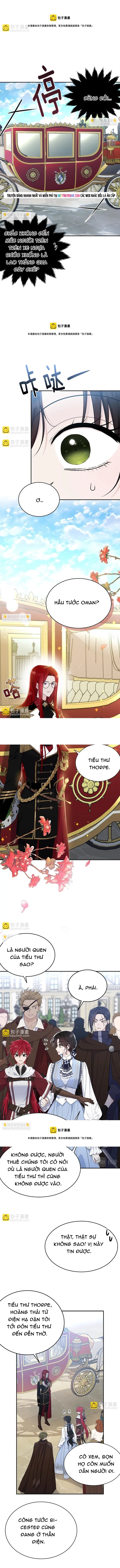 Tiểu Thư Mà Tôi Phục Vụ Biến Thành Thiếu Gia Rồi Chapter 78 - 8