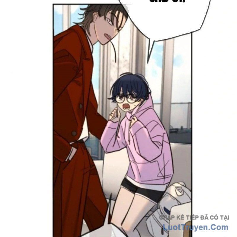 Mọi Người Đều Yêu Cô Ấy Chapter 38 - 198