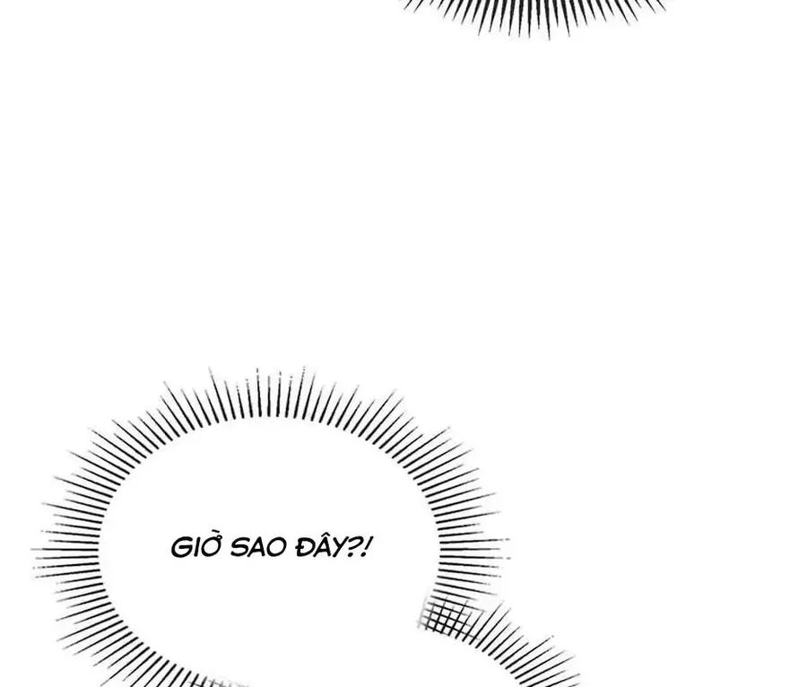 Hấp Thụ Cấp Độ Chapter 124 - 97