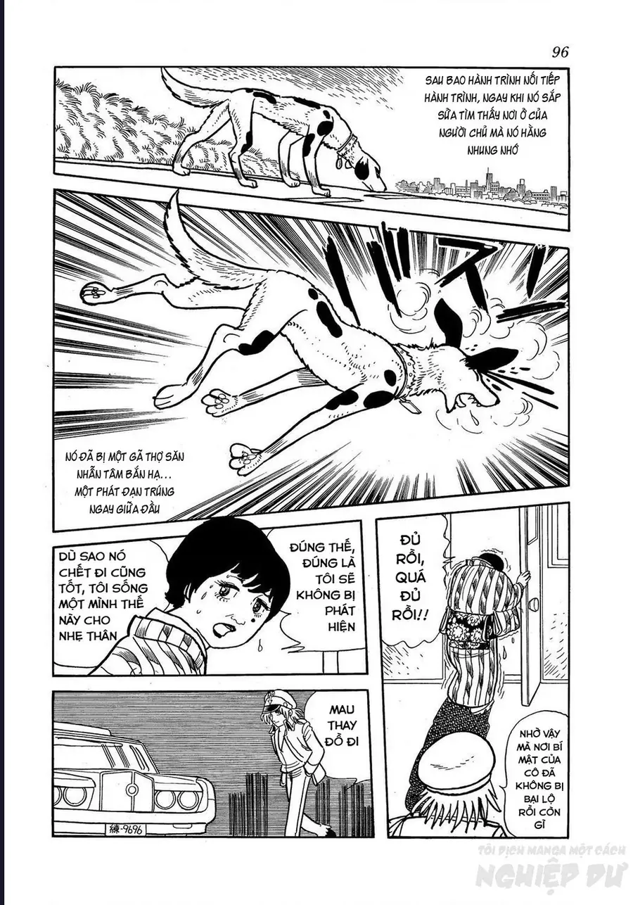 Black Jack Gaiden: Midnight Chapter 30 - 14