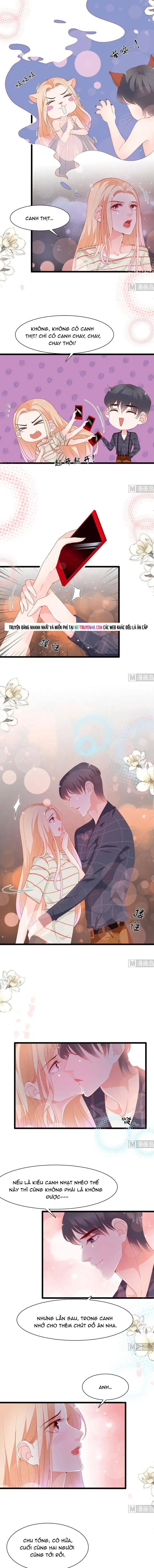 Chu Tiên Sinh, Ép Cưới Phạm Pháp Đó Chapter 175 - 4