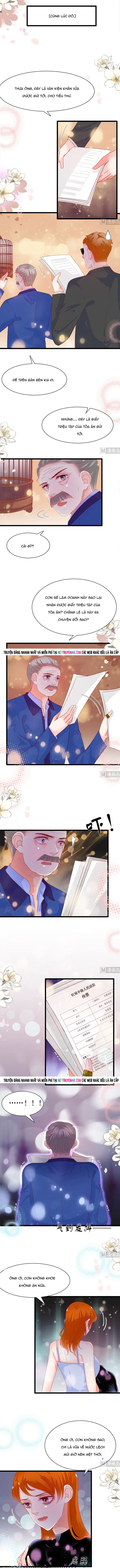 Chu Tiên Sinh, Ép Cưới Phạm Pháp Đó Chapter 196 - 3