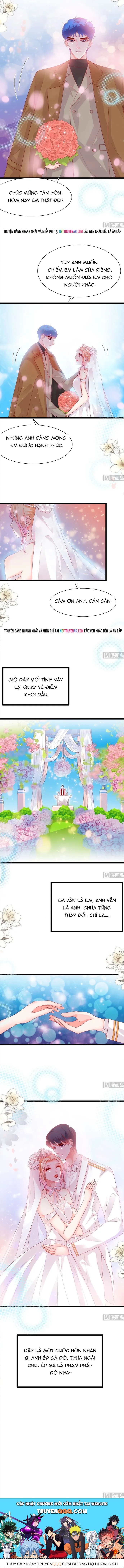 Chu Tiên Sinh, Ép Cưới Phạm Pháp Đó Chapter 197 - 5