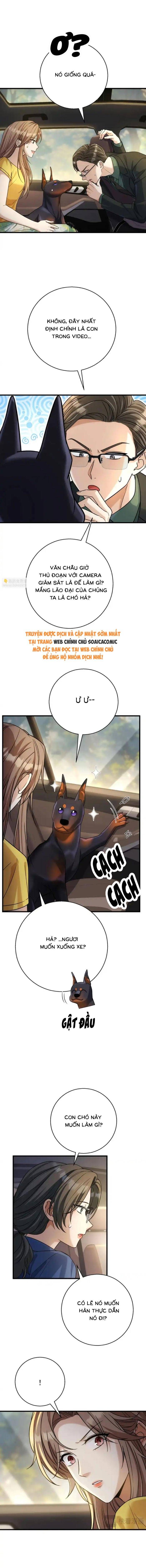 Tổng Tài Chó Chapter 50 - 4