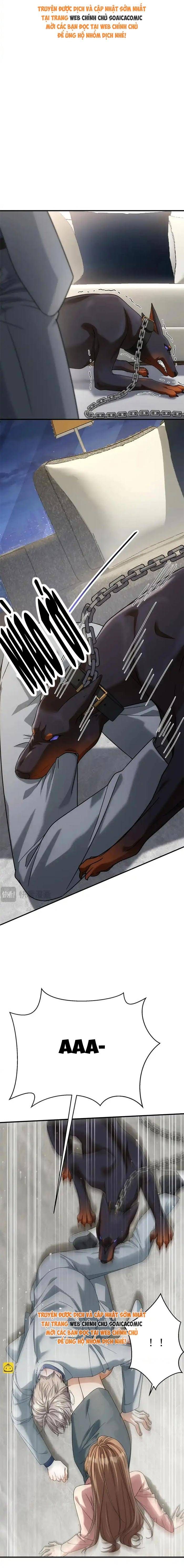 Tổng Tài Chó Chapter 55 - 12