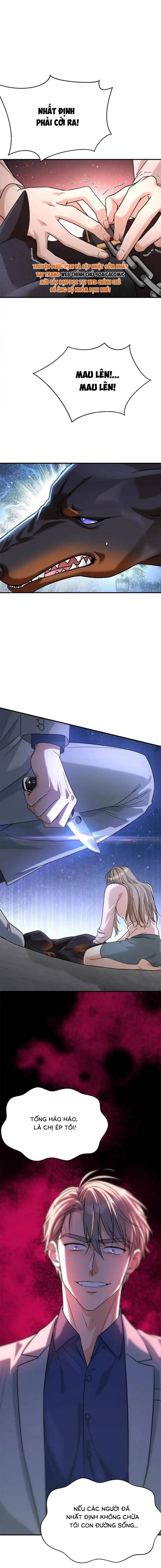 Tổng Tài Chó Chapter 55 - 14