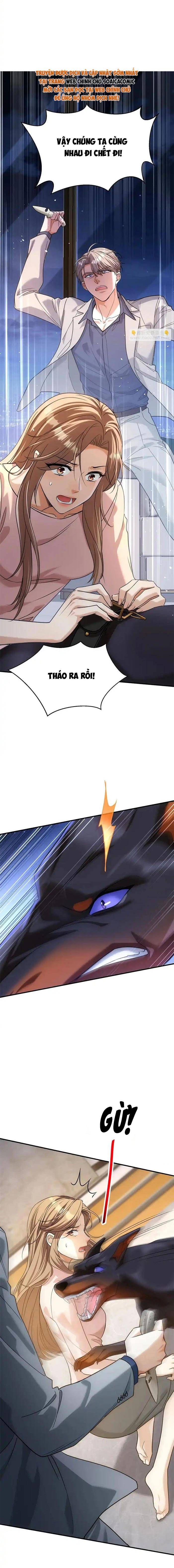 Tổng Tài Chó Chapter 55 - 15