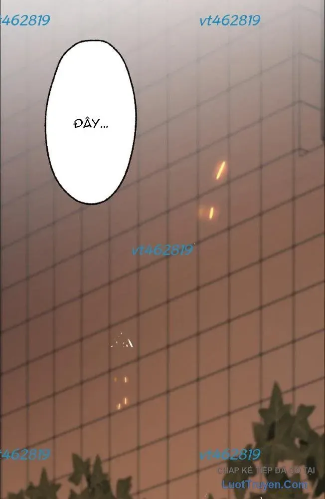 Quý Tộc Báo Thù Chapter 42 - 5