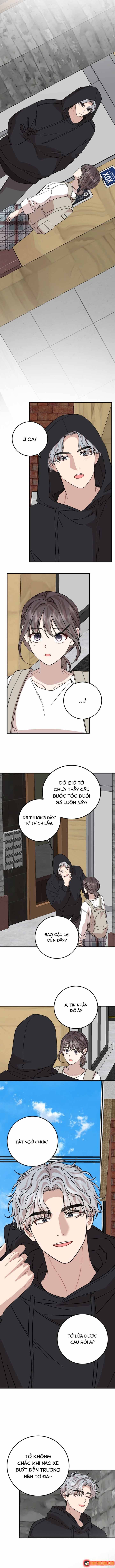 Can You Date A Ranker? Chapter 44 - 12