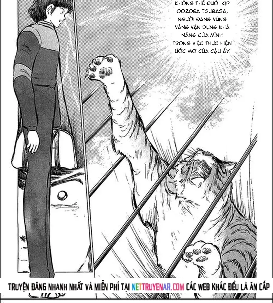 Tsubasa - Giấc Mơ Sân Cỏ Chapter 109 - 12