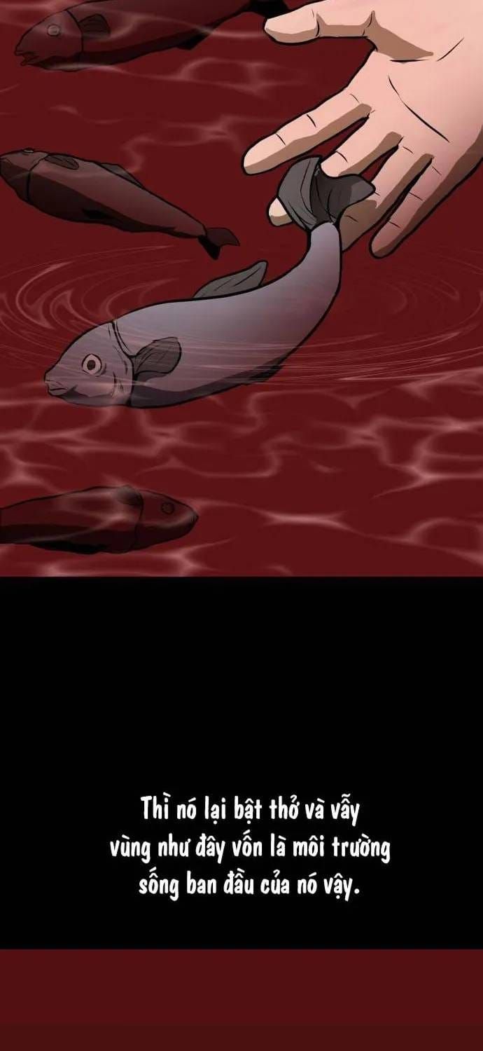 Đấu Sĩ Xác Sống Chapter 37 - 44