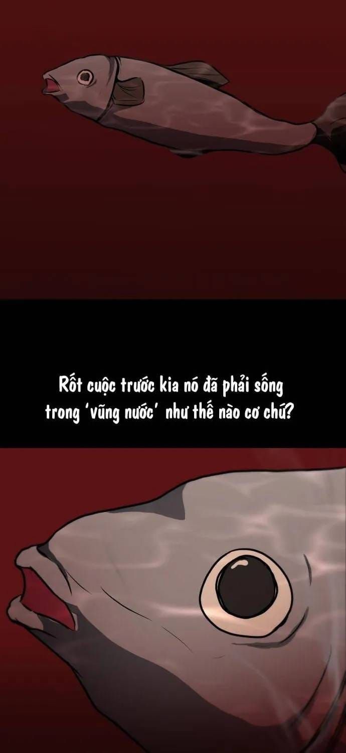 Đấu Sĩ Xác Sống Chapter 37 - 45