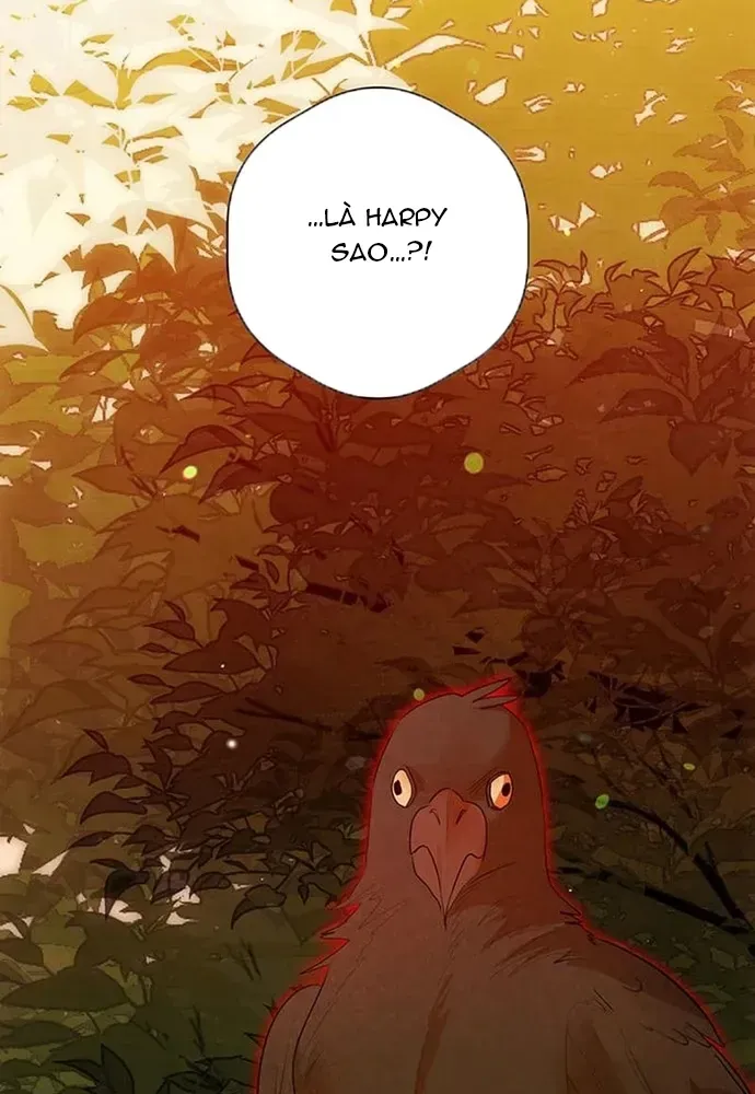 Kế Hoạch Tiễn Chồng Xuống Vực Thẳm Chapter 46 - 112
