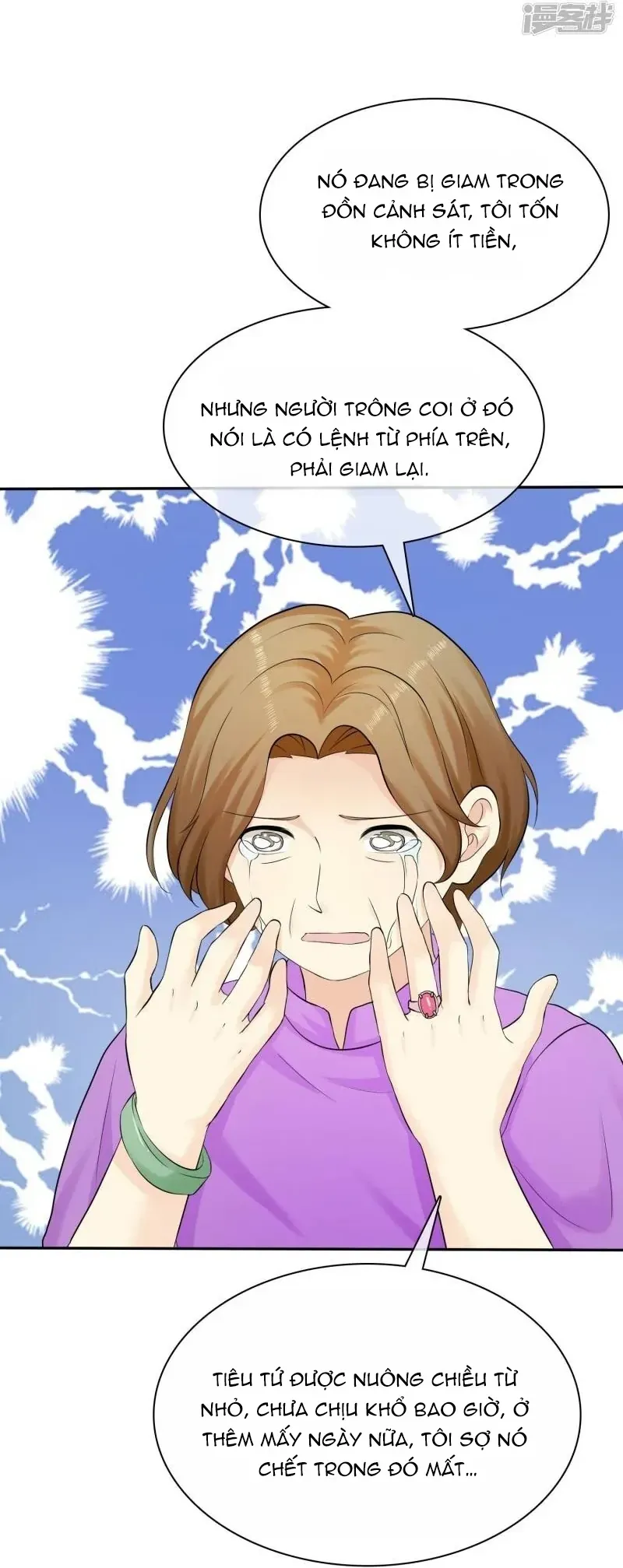 Sủng Em Như Mật: Thiếu Gia Truy Thê Chapter 27 - 12