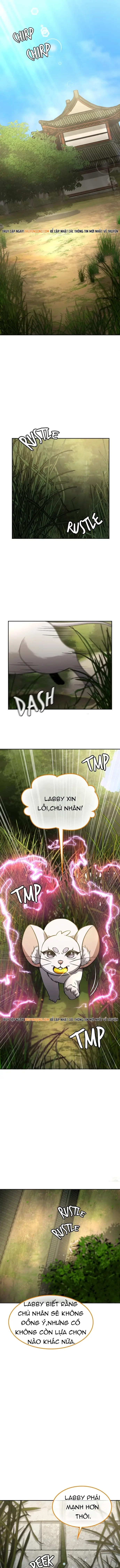 Chân Lý Tu Tiên Chapter 36 - 11