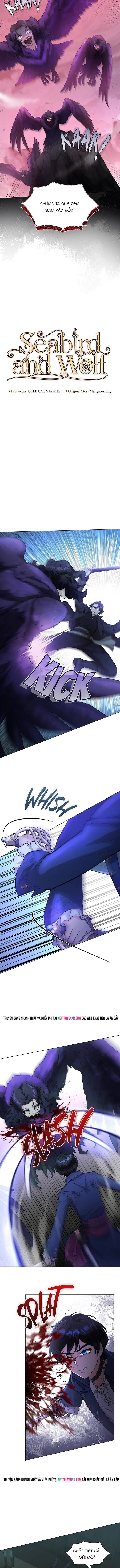 Hải Âu & Sói Hoang Chapter 55 - 3