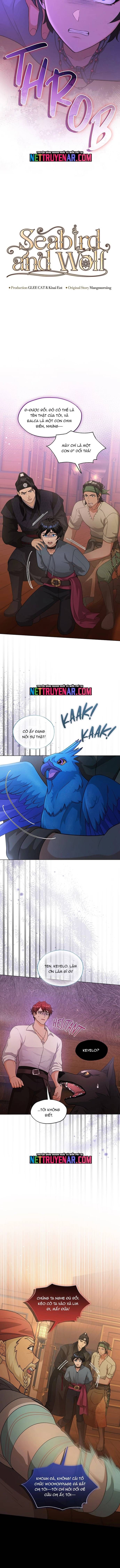 Hải Âu & Sói Hoang Chapter 57 - 2