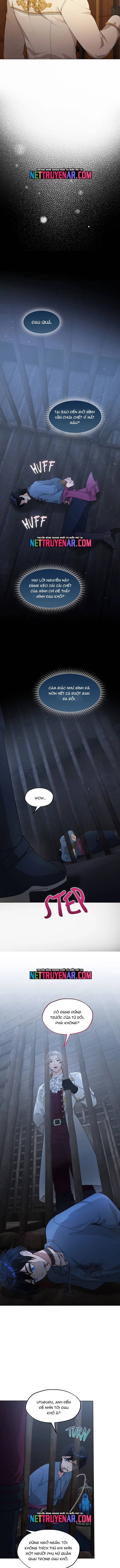 Hải Âu & Sói Hoang Chapter 57 - 13