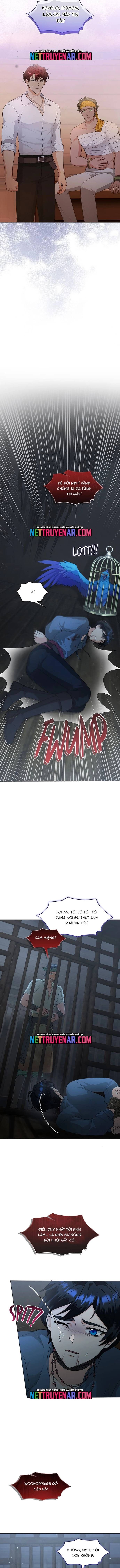 Hải Âu & Sói Hoang Chapter 57 - 5