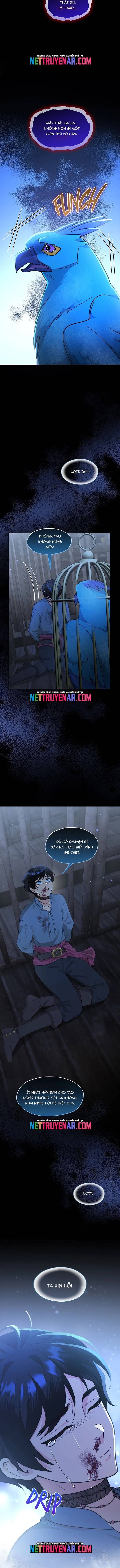 Hải Âu & Sói Hoang Chapter 57 - 10