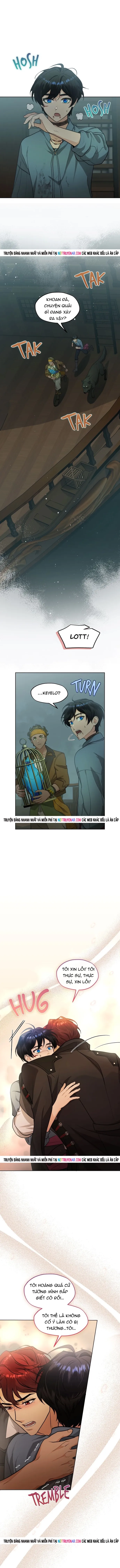 Hải Âu & Sói Hoang Chapter 58 - 13