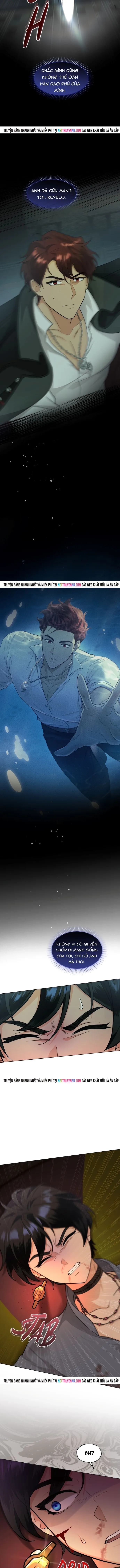 Hải Âu & Sói Hoang Chapter 58 - 7